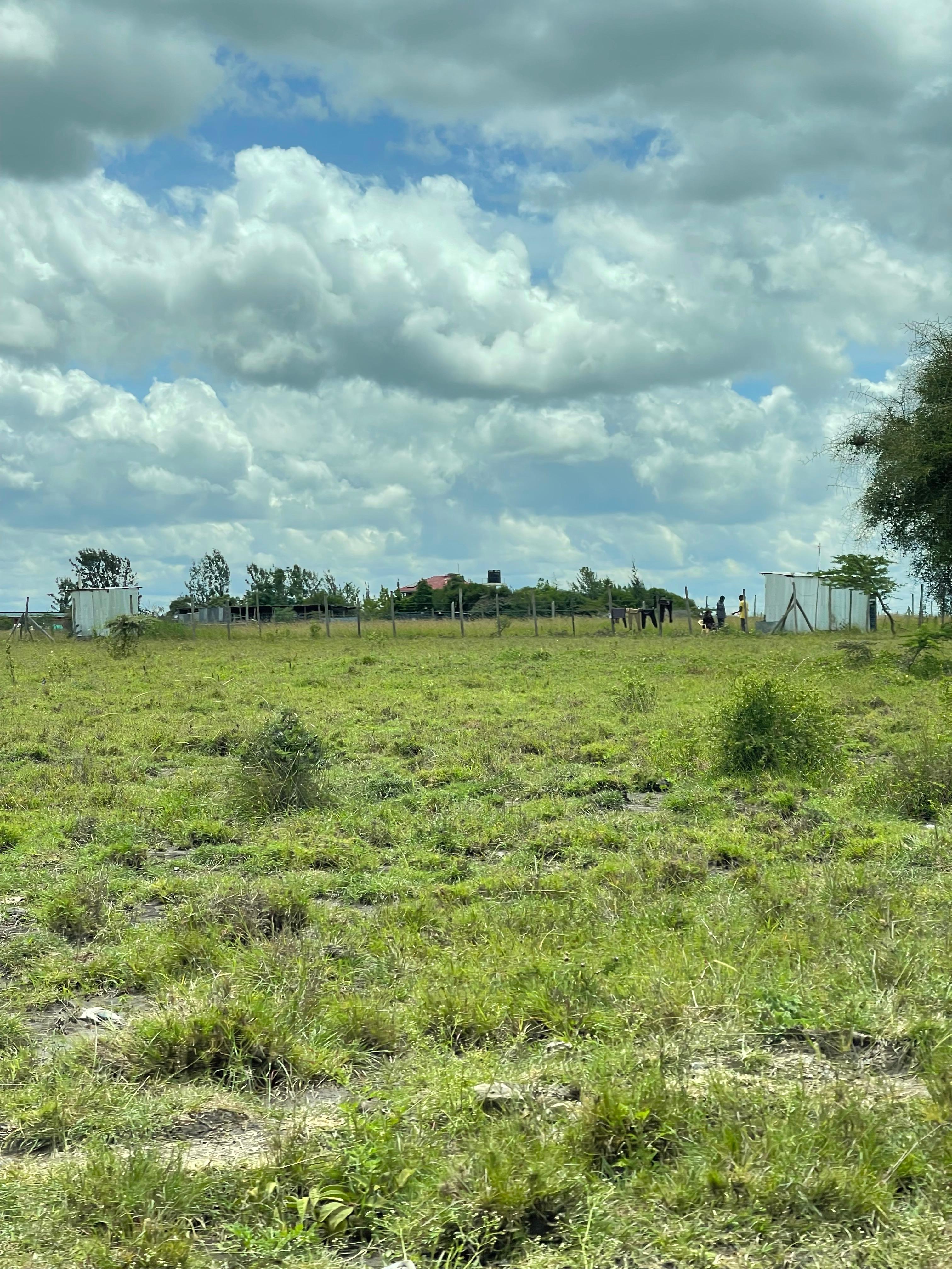 Acacia, Near Nkasiri resort